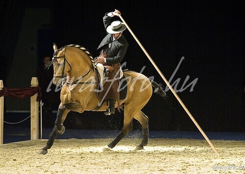 Equifest 2010.