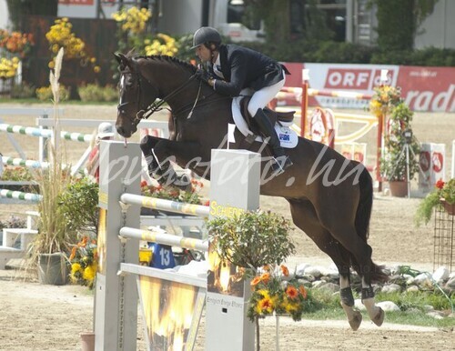 CSIO****-W Linz