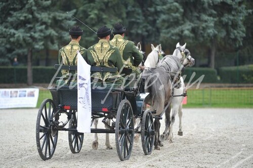 Bábolnai Gazdanapok 2014.