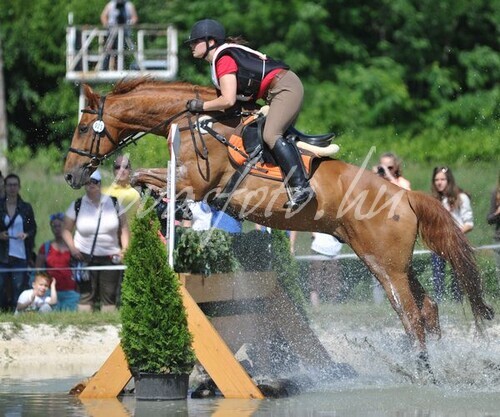 CCI* CCI** CIC*** CCI*** Lovastusa